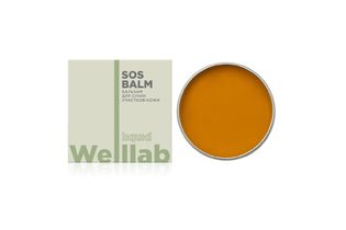 Бальзам для сухих участков кожи Welllab Liquid SOS BALM, 30 мл