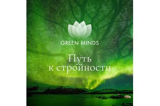 Нейромедитация GREEN MINDS «Путь к стройности»