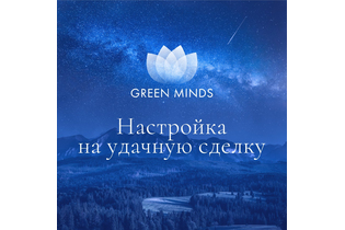 Нейромедитация GREEN MINDS «Настройка на удачную сделку»